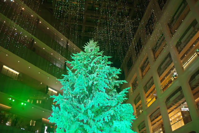 丸の内KITTEのクリスマスツリー