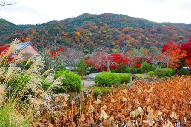 嵐山紅葉