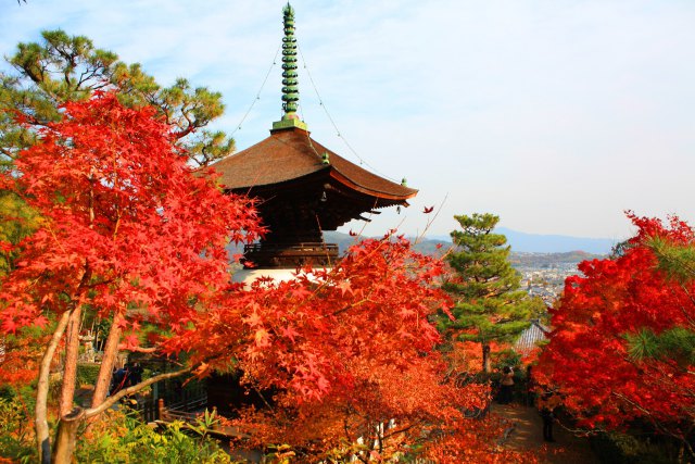 常寂光寺紅葉