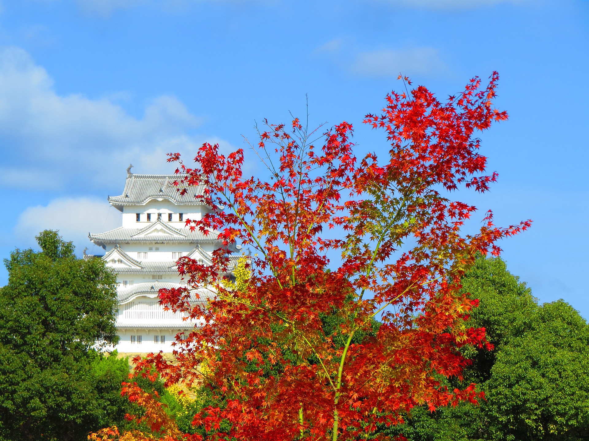 日本の風景 紅葉と姫路城 壁紙1920x1440 壁紙館