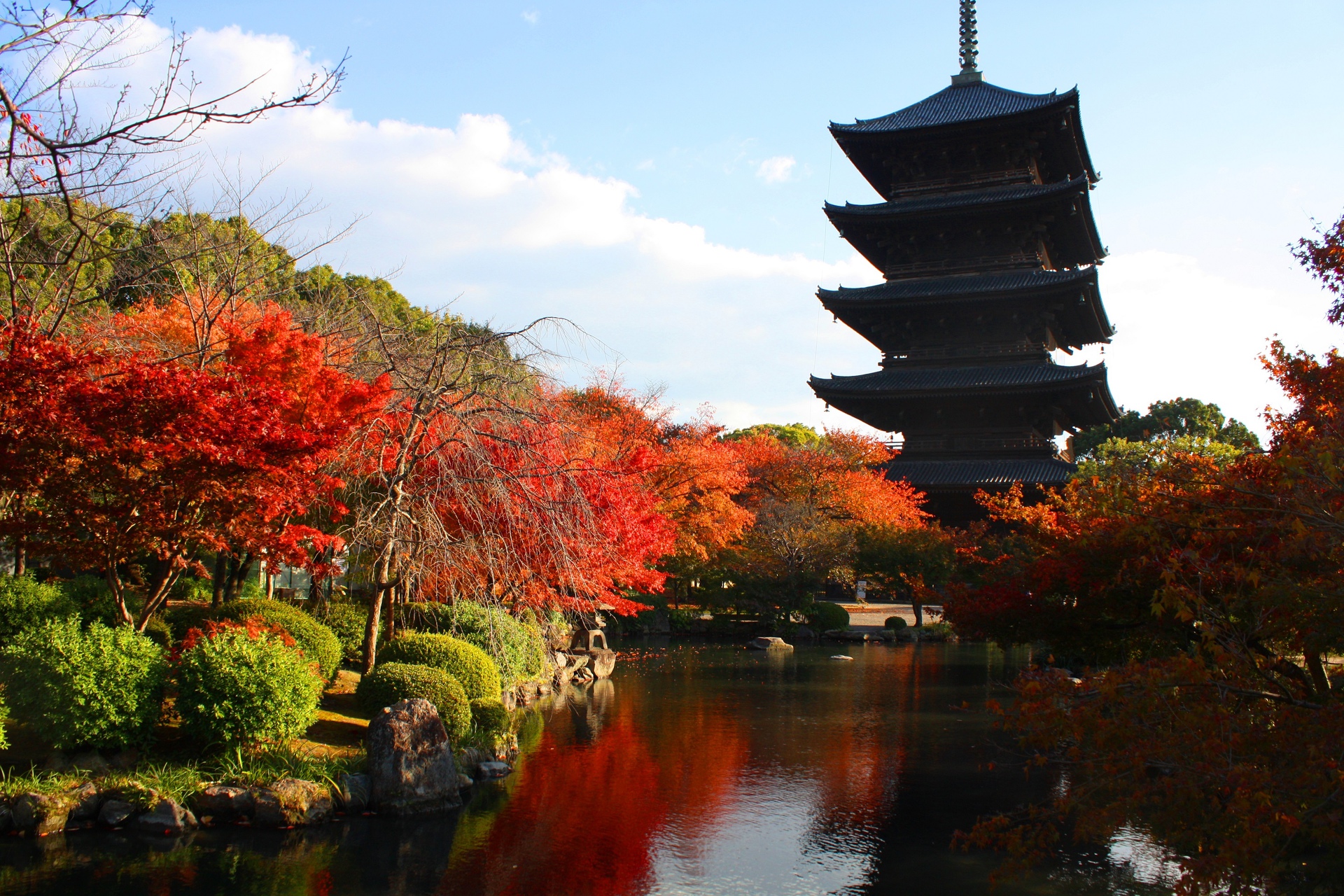 日本の風景 東寺紅葉 壁紙19x1280 壁紙館