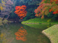 小石川後楽園 大泉水と紅葉