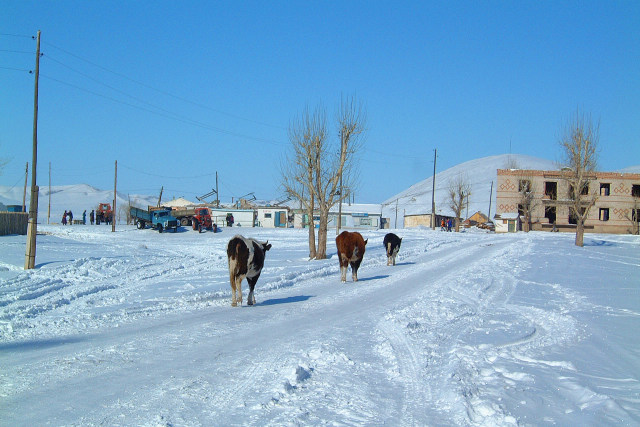 モンゴルの田舎町 冬2
