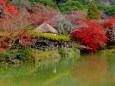 晩秋の御船山楽園