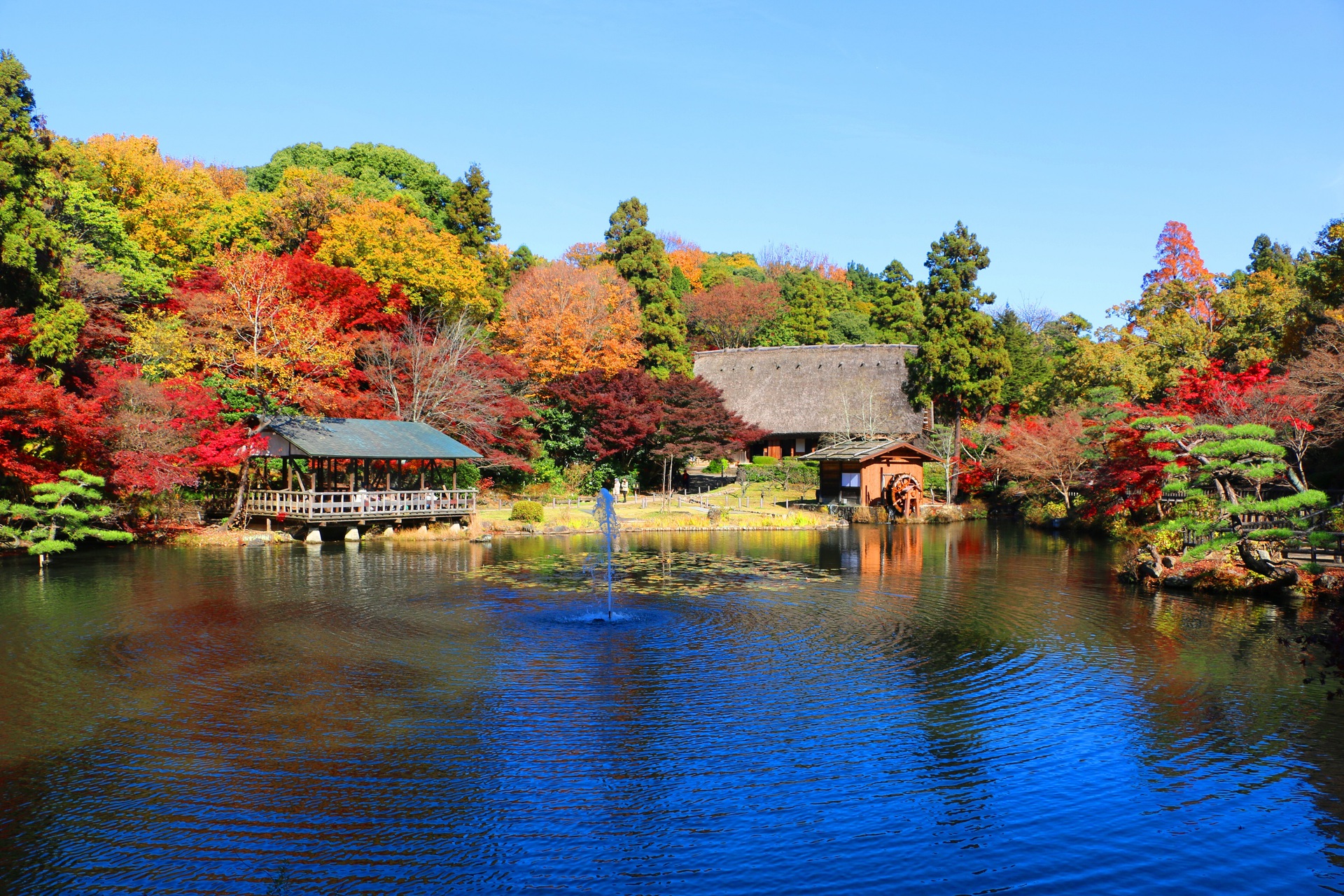 日本の風景 東山動植物園紅葉 壁紙19x1280 壁紙館 日本の風景 東山動植物園紅葉 壁紙19x1280 壁紙館