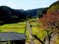 晩秋の山間部風景