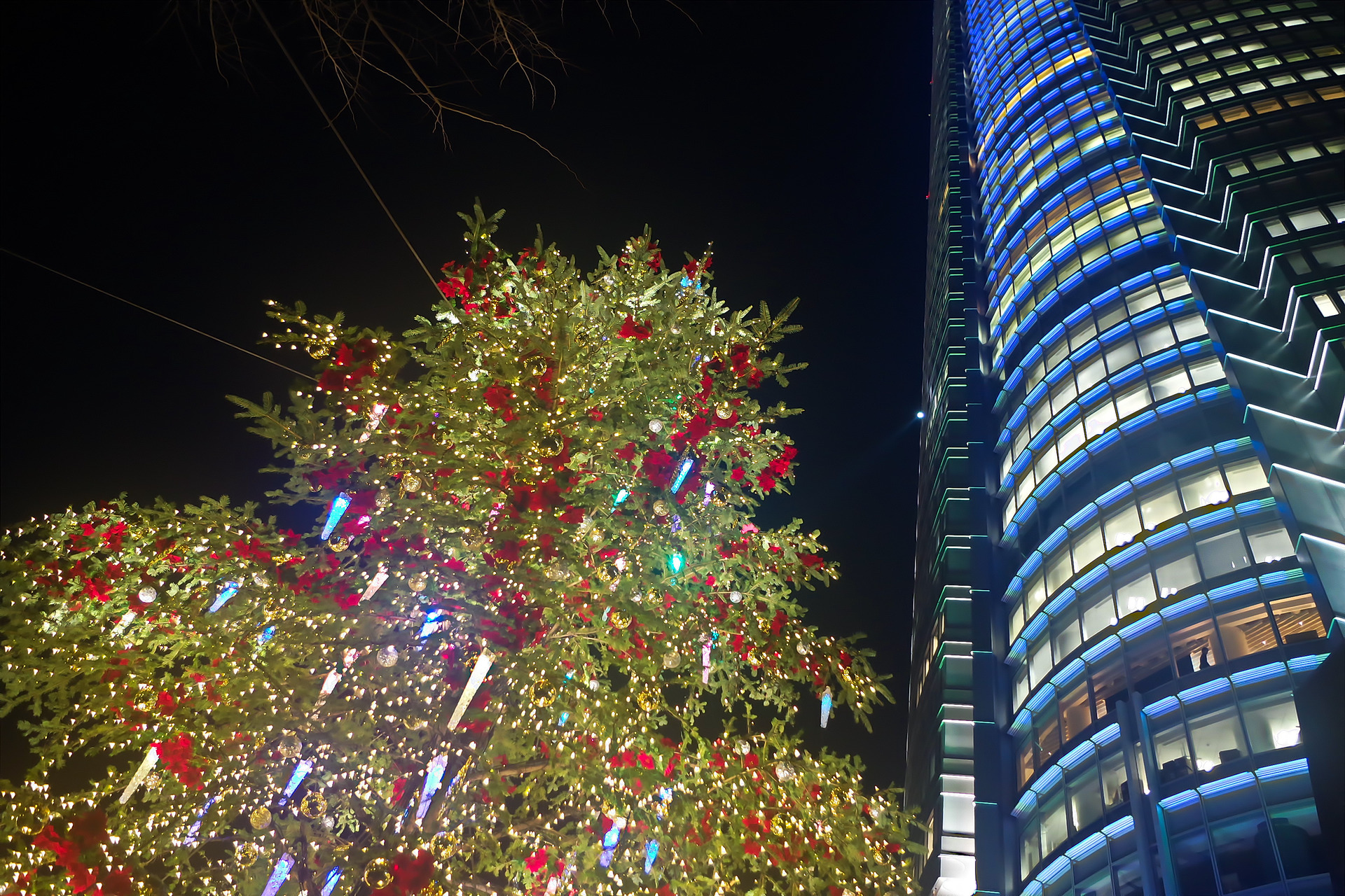 すべてのイラスト画像 トップ100待ち受け クリスマス 夜景 画像