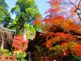 談山神社紅葉