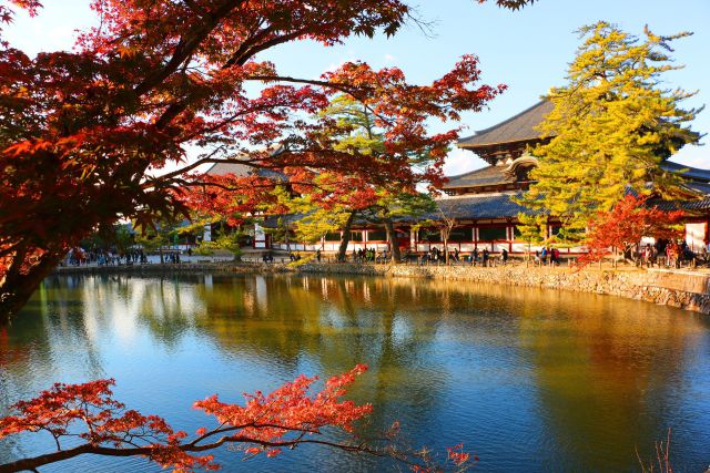 奈良紅葉