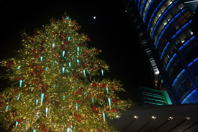 六本木ヒルズのクリスマスツリー