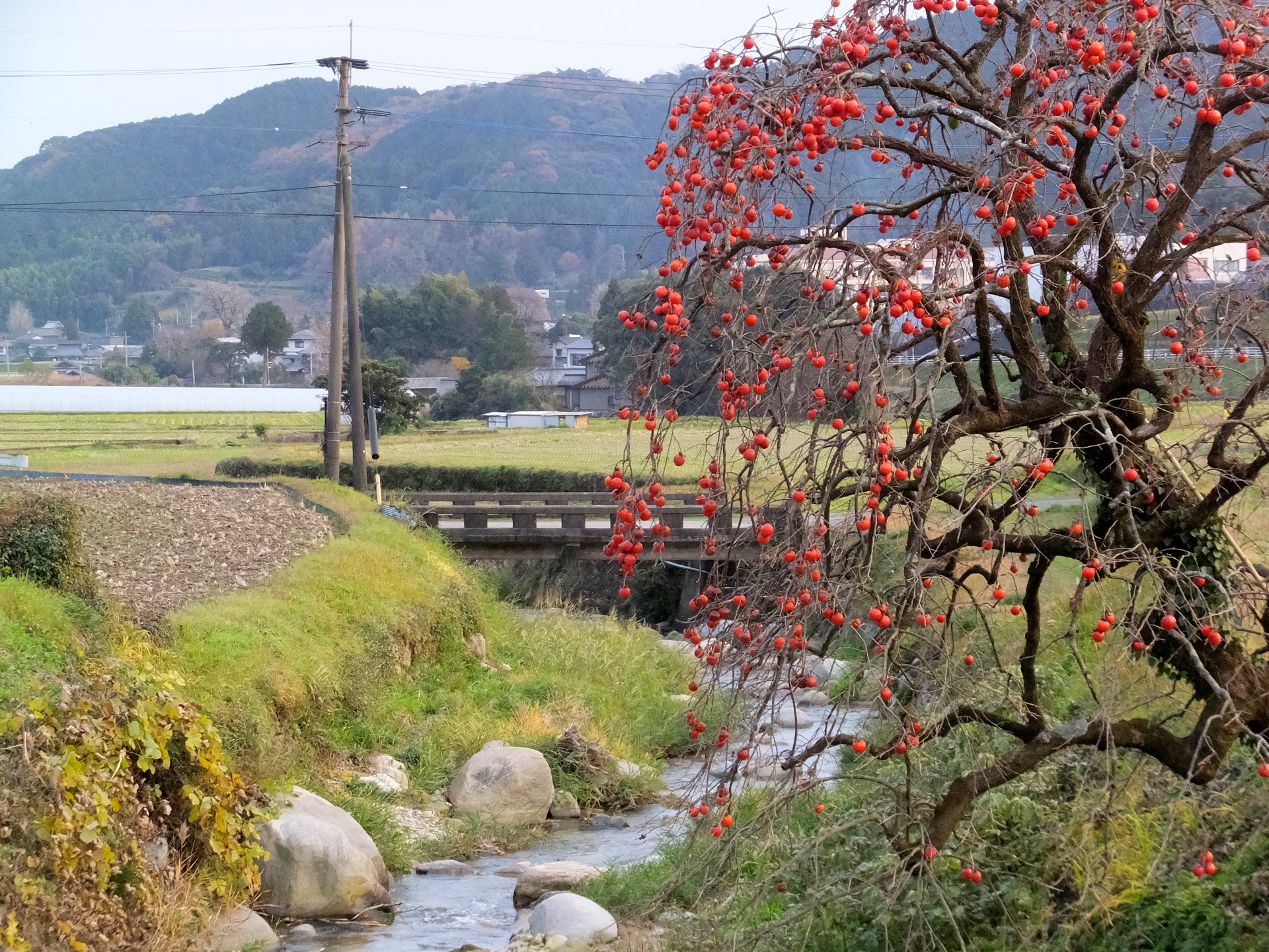 日本の風景 田舎道の小さな橋 壁紙19x1440 壁紙館