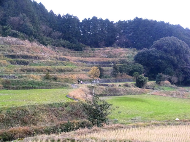 冬、里山の棚田