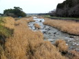 冬枯れの川