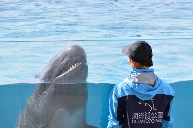 飼育員さんとの絆