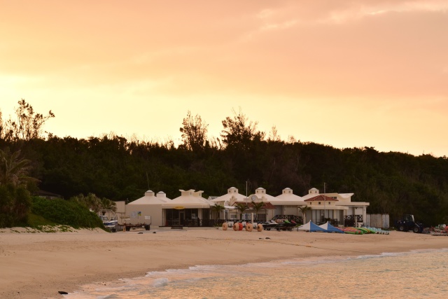 早朝の散歩にて