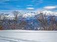 雪原と立山連峰