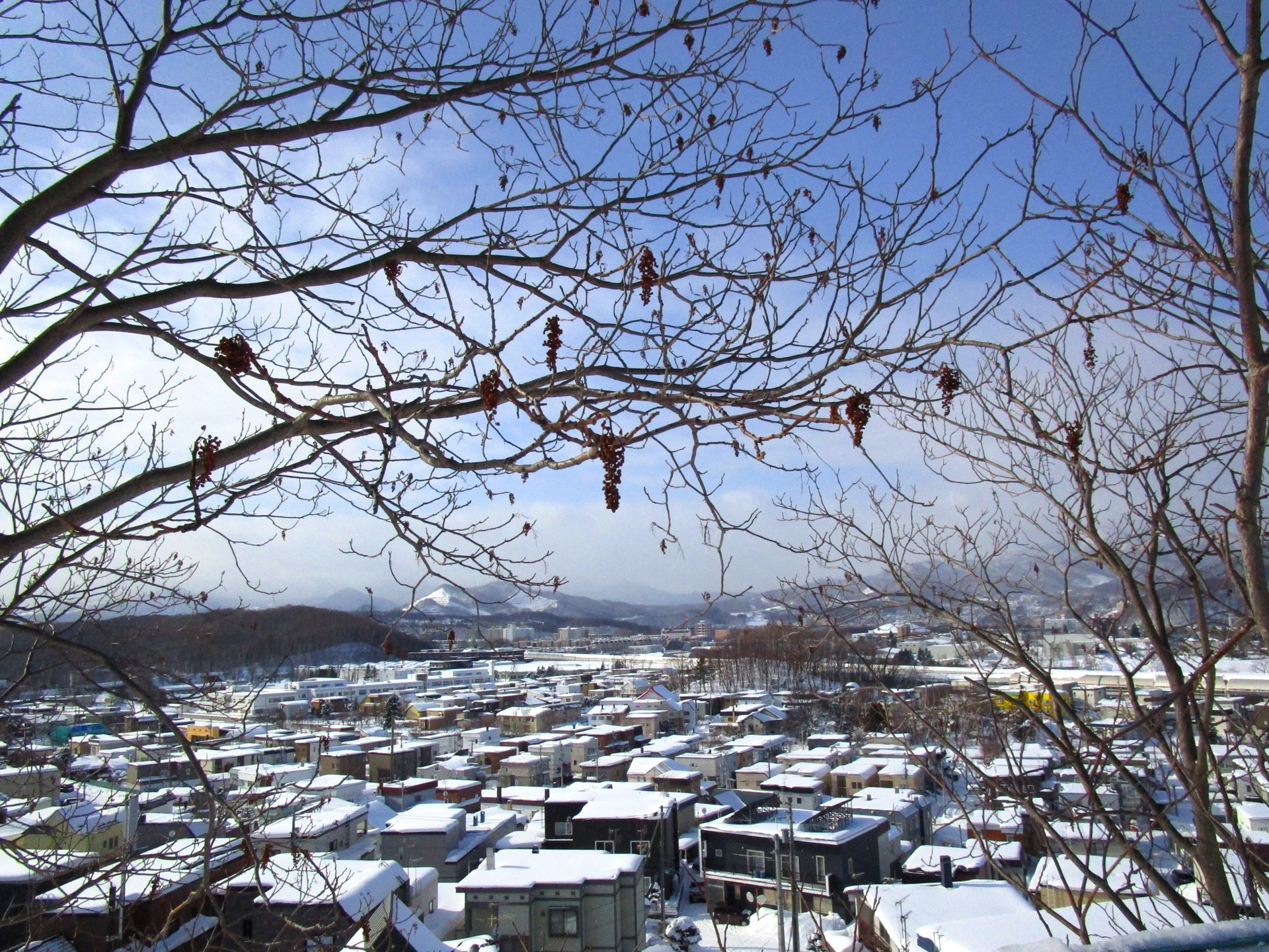 都市 街 室内 冬の札幌 壁紙19x1440 壁紙館