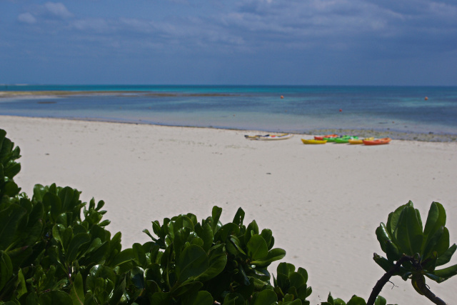 久米島 イーフビーチ
