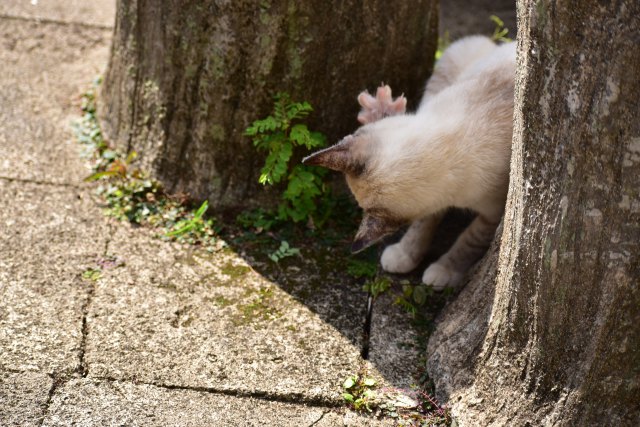 どういう体勢？