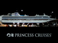 PRINCESS CRUSE模型