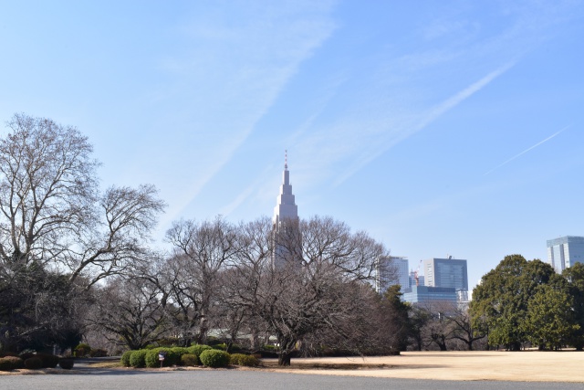 新宿御苑 冬