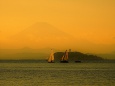 湘南の海と富士山の夕景
