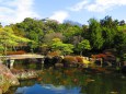2月の姫路城好古園庭園