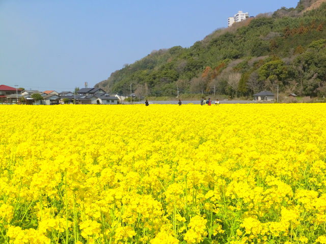 春の晴れた日に