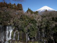 白糸の滝&富士山