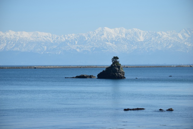 早春の雨晴海岸