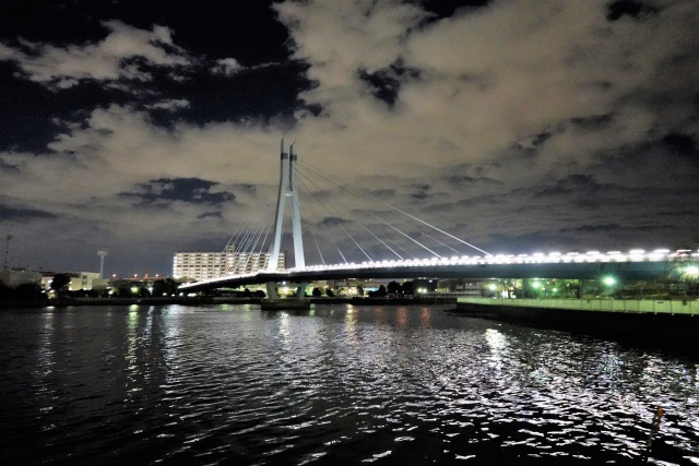 辰巳桜橋の夜景