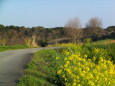 春の田舎道
