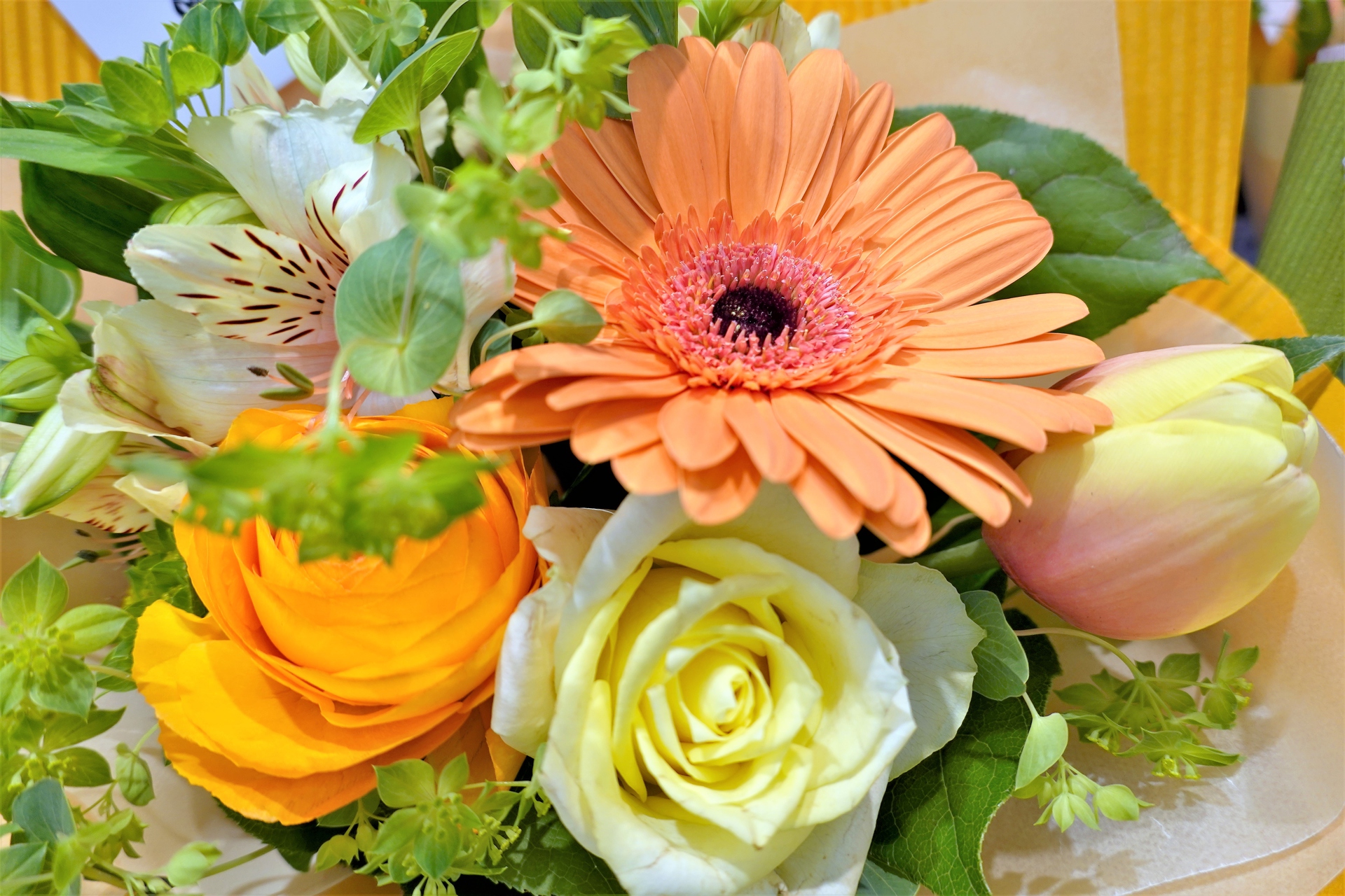 花 植物 花のブーケ 壁紙19x1280 壁紙館