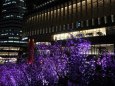 東京ミッドタウン日比谷の夜桜