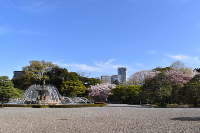 桜咲く赤坂離宮