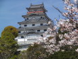 桜の唐津城
