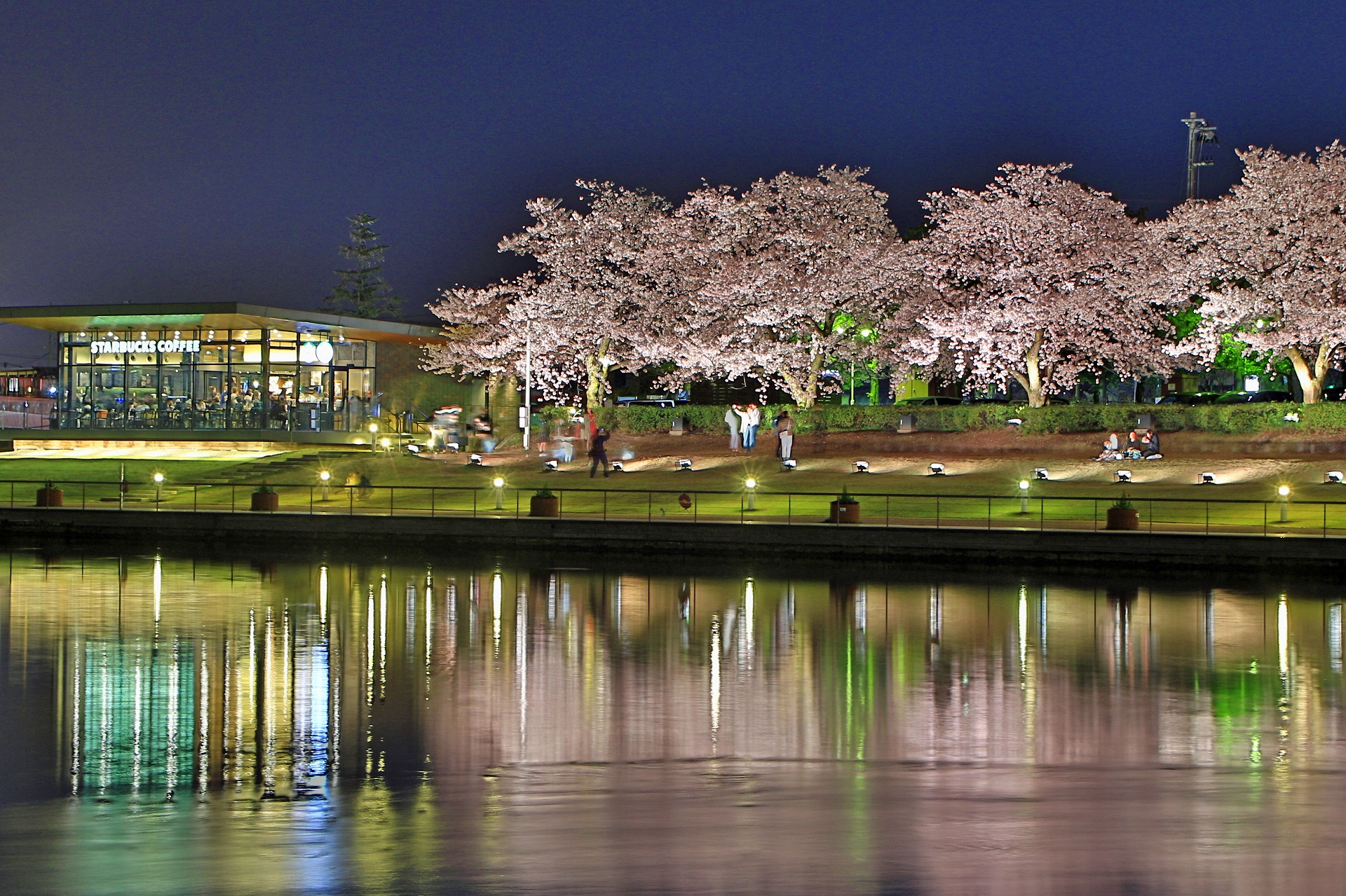 夜景 花火 イルミ 世界一美しいスタバ店 壁紙19x1279 壁紙館