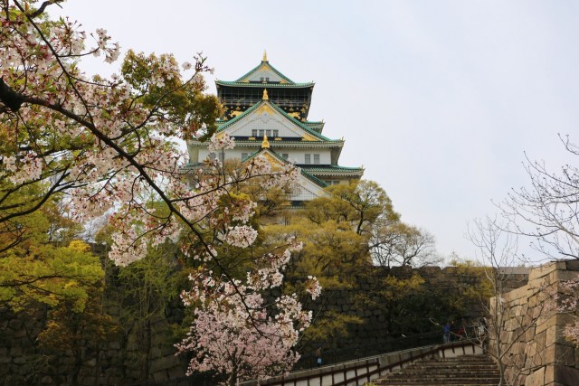 大阪城桜