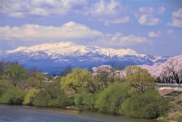 春の栗駒山