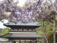 山藤戸寺の門