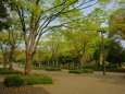 春の幾久公園