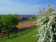 大乗寺丘陵公園から金沢の眺め#1