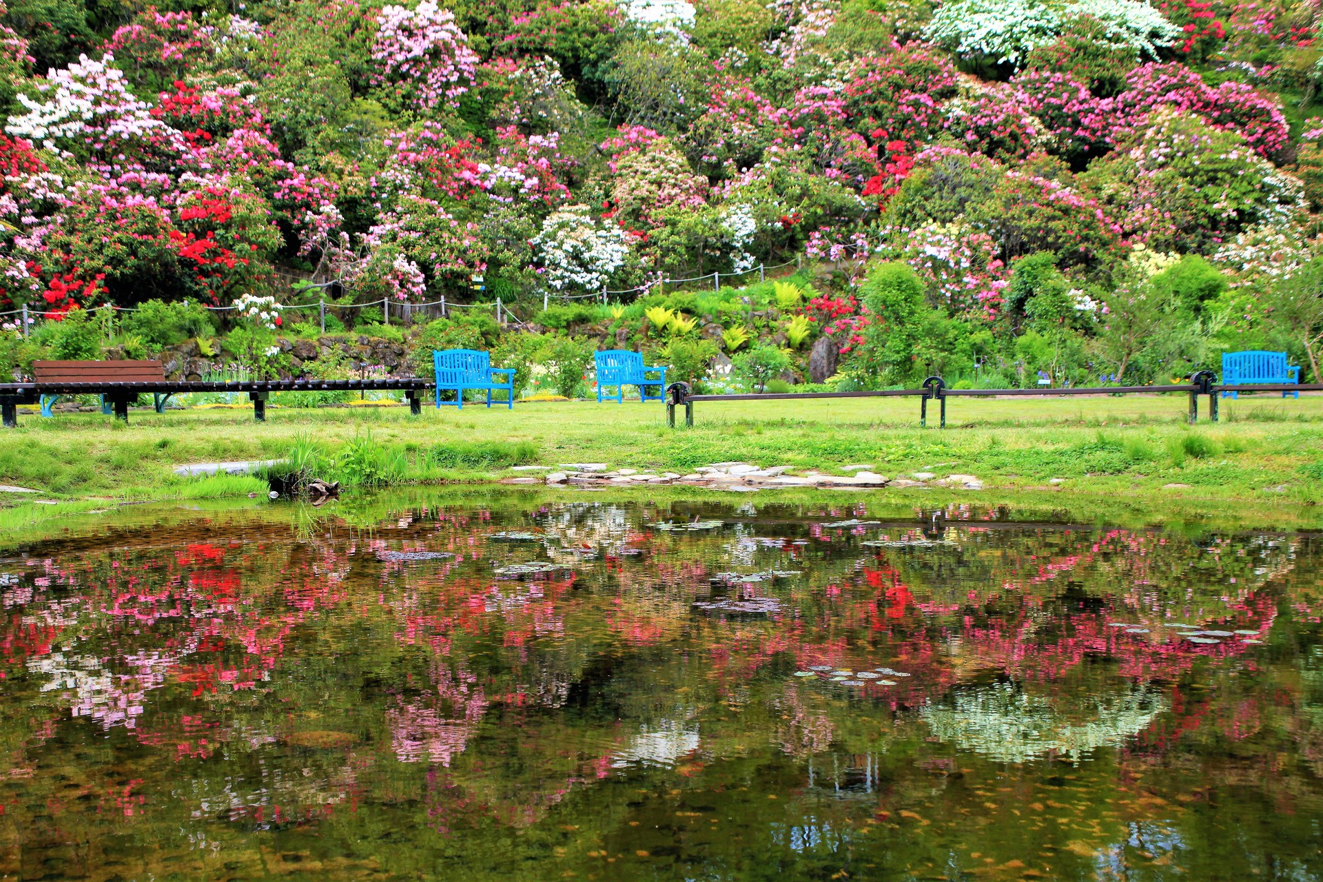 日本の風景 泉ボタニカルガーデン 壁紙19x1280 壁紙館