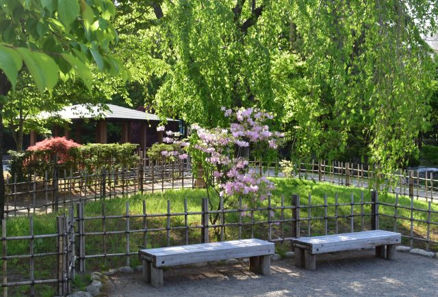 ここでひと休み14