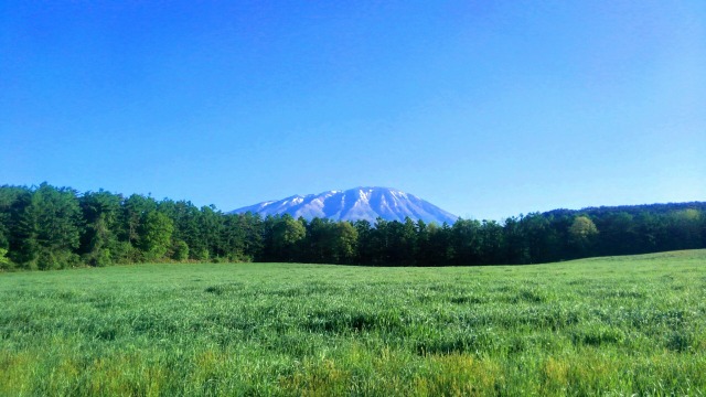 岩手山~新緑の牧場~