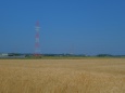 麦秋と赤白鉄塔