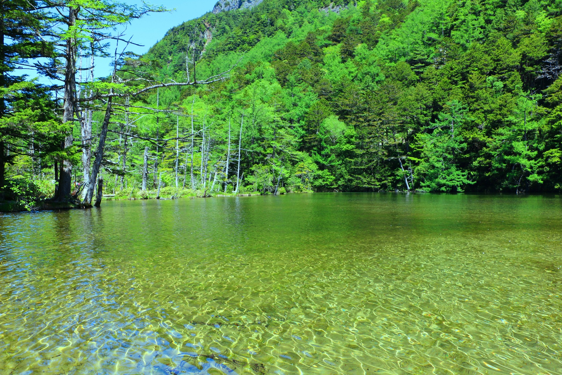 日本の風景 新緑の上高地 壁紙19x1280 壁紙館