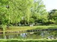 中島公園