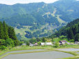 初夏の山里