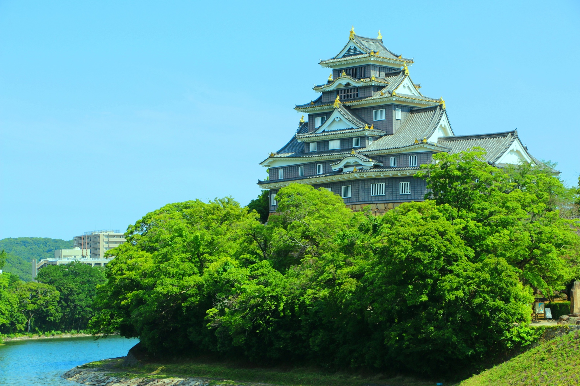 日本の風景 新緑の岡山城 壁紙19x1280 壁紙館